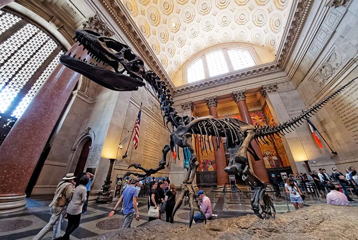 Dinosaurier im American Museum of Natural History | Foto: Flickr, Don DeBold - CC-BY 2.0