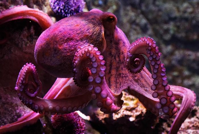 The perfect date for a night out! | Flickr: Kimon Berlin CC BY-SA 2.0