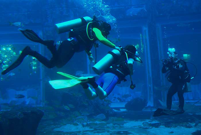 Diving in the aquarium | Flickr: Naval Surface Warriors CC BY-SA 2.0
