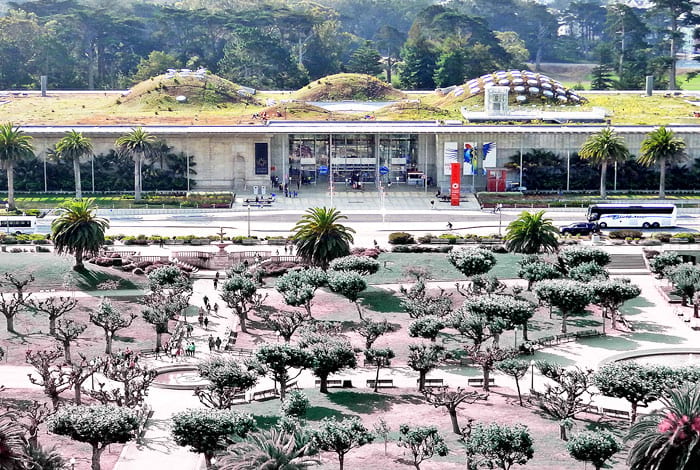 California Academy of Sciences | Photo: Flickr, Dennis Jarvis - CC-BY-SA 2.0