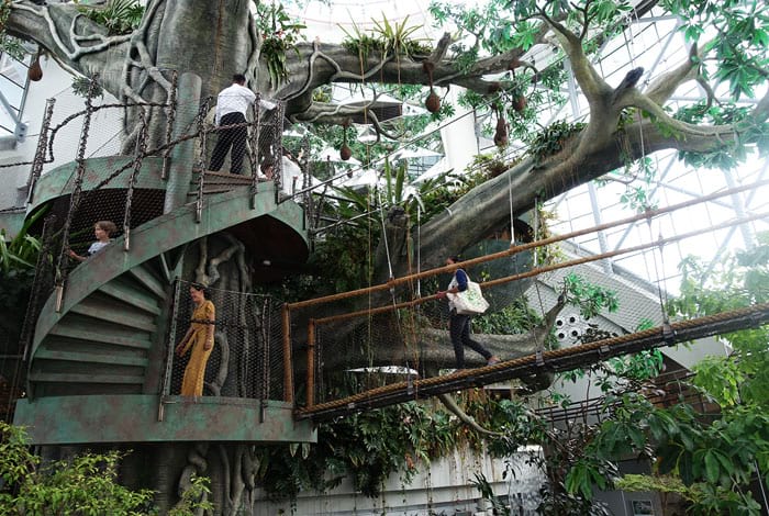 The Stairs to the Canopy | Flickr: Jeremy Thompson CC BY 2.0