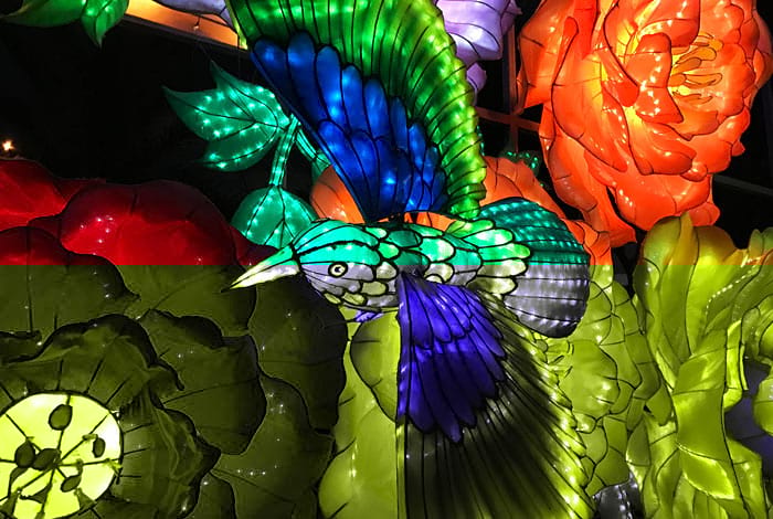 Art Park | Flickr: Rob Young CC BY 2.0