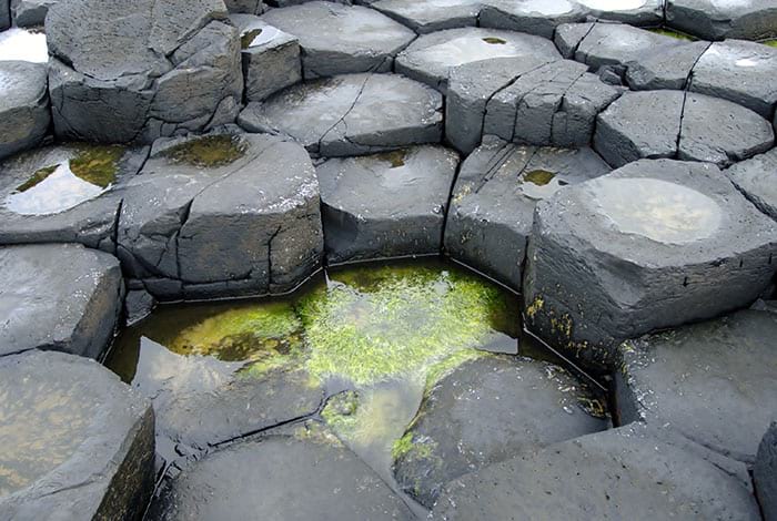 Der Giant's Causeway | Flickr: Dan Merino CC BY-ND 2.0