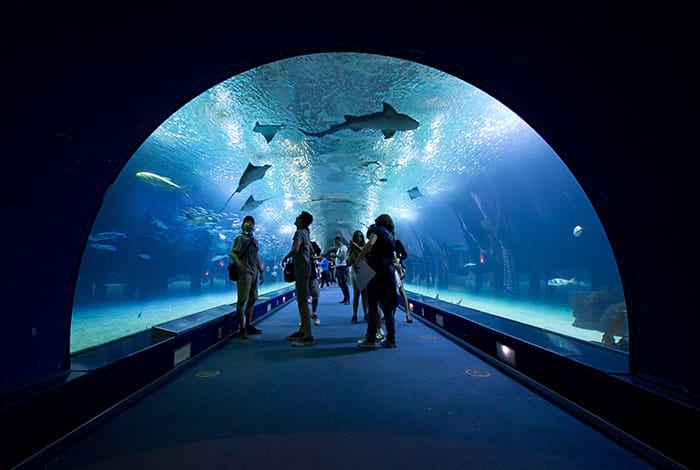 L'Oceanogràfic | Foto: Hernán Piñera CC-BY-SA 2.0