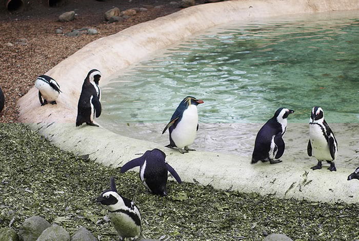 Water Feature | Photo: Flickr, Nigel Swales – CC BY-SA 2.0
