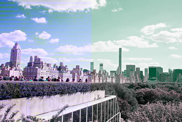Photo: Lydia Liu, View of Central Park from the Met’s Rooftop - Creative Commons Attribution 2.0